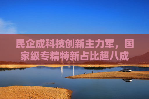 民企成科技创新主力军，国家级专精特新占比超八成