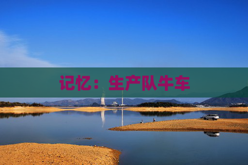 记忆：生产队牛车