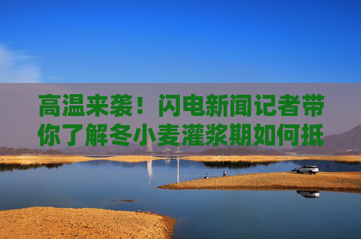 高温来袭！闪电新闻记者带你了解冬小麦灌浆期如何抵御干热风