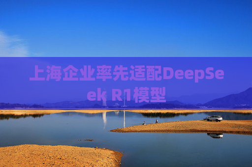 上海企业率先适配DeepSeek R1模型