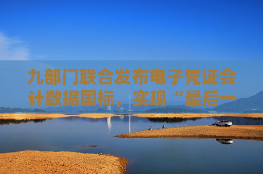 九部门联合发布电子凭证会计数据国标，实现“最后一公里”打通