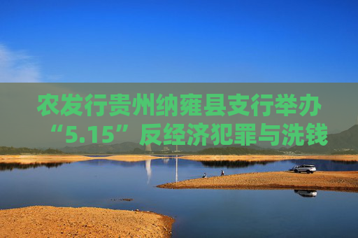 农发行贵州纳雍县支行举办“5.15”反经济犯罪与洗钱宣传
