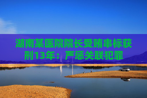 湖南某医院院长受贿串标获刑13年：严惩关联犯罪