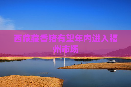 西藏藏香猪有望年内进入福州市场