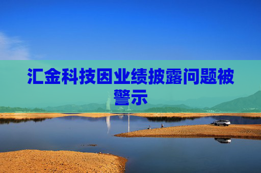 汇金科技因业绩披露问题被警示