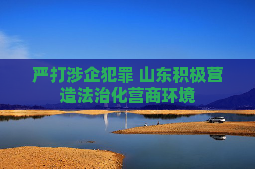 严打涉企犯罪 山东积极营造法治化营商环境