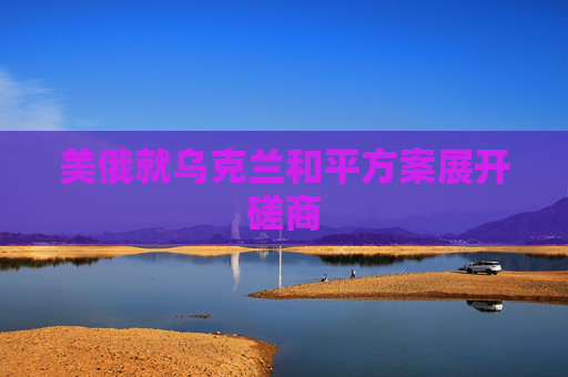 美俄就乌克兰和平方案展开磋商