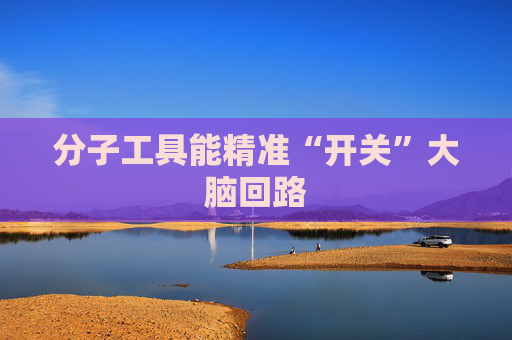 分子工具能精准“开关”大脑回路