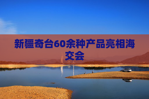 新疆奇台60余种产品亮相海交会