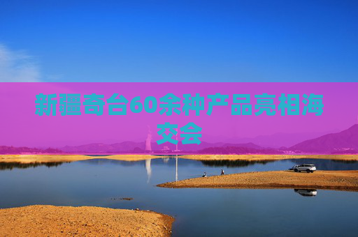 新疆奇台60余种产品亮相海交会