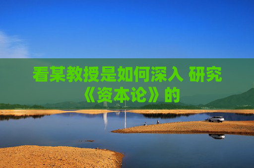 看某教授是如何深入 研究《资本论》的