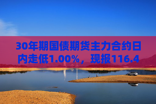 30年期国债期货主力合约日内走低1.00%，现报116.48元