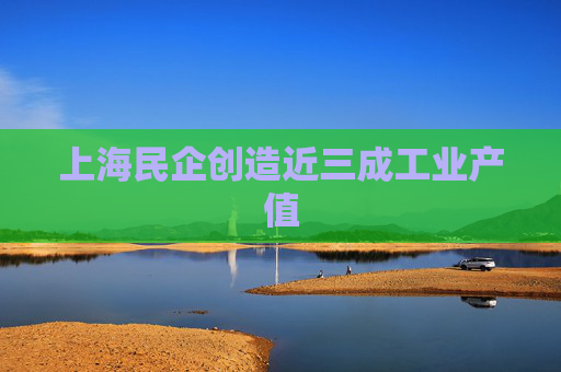 上海民企创造近三成工业产值
