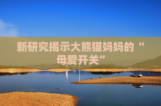 新研究揭示大熊猫妈妈的“母爱开关”