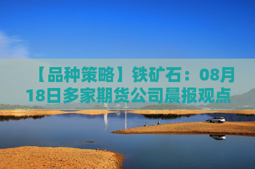 【品种策略】铁矿石：08月18日多家期货公司晨报观点汇总