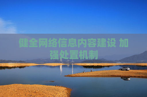 健全网络信息内容建设 加强处置机制