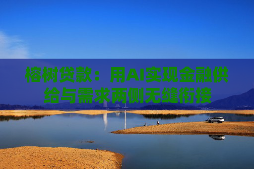 榕树贷款：用AI实现金融供给与需求两侧无缝衔接