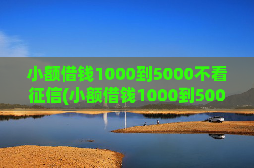 小额借钱1000到5000不看征信(小额借钱1000到5000不查征信)