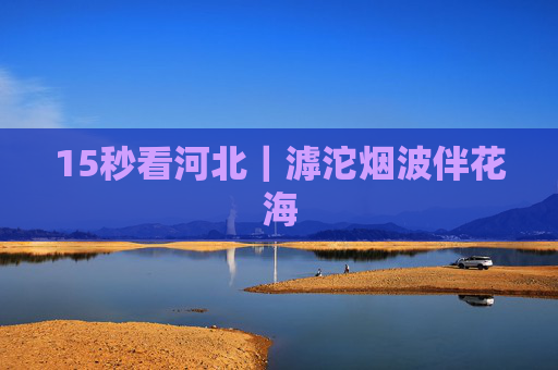 15秒看河北｜滹沱烟波伴花海