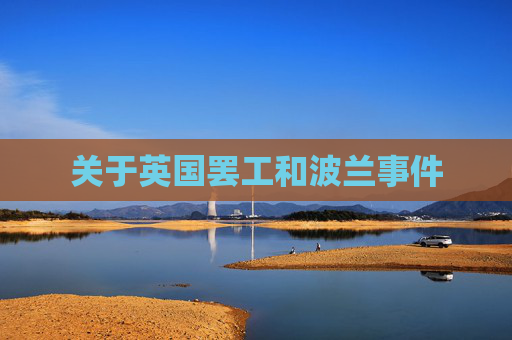 关于英国罢工和波兰事件