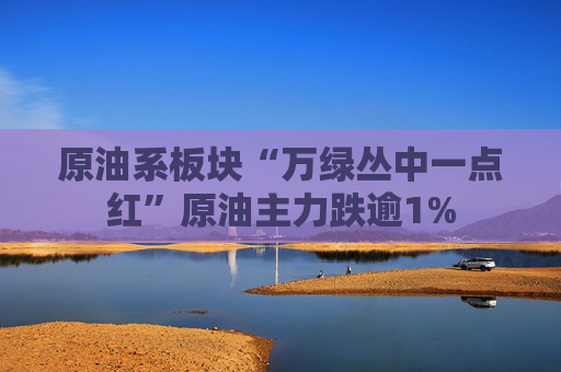 原油系板块“万绿丛中一点红”原油主力跌逾1%