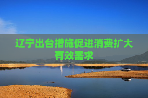 辽宁出台措施促进消费扩大有效需求
