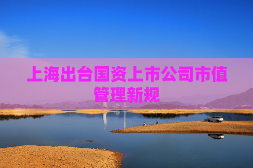 上海出台国资上市公司市值管理新规