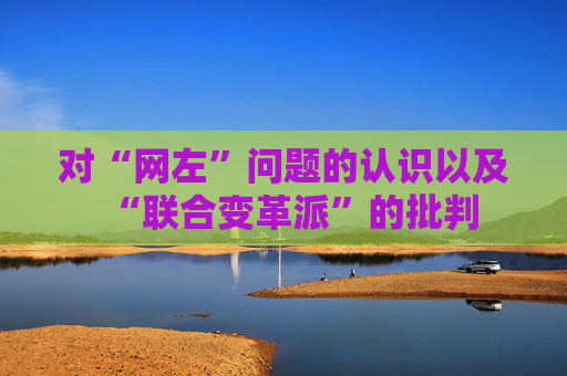 对“网左”问题的认识以及“联合变革派”的批判