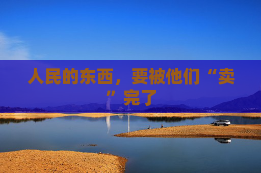 人民的东西，要被他们“卖”完了