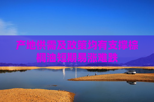 产地供需及政策均有支撑棕榈油短期易涨难跌