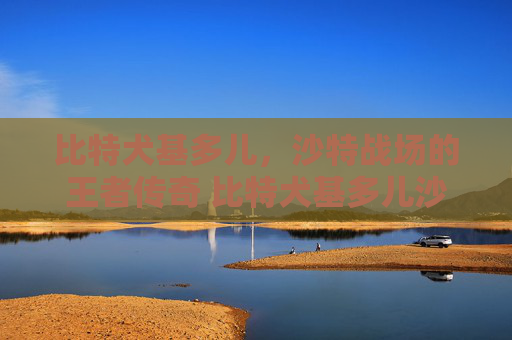 比特犬基多儿，沙特战场的王者传奇 比特犬基多儿沙特战绩