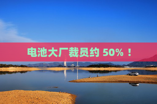 电池大厂裁员约 50% ！