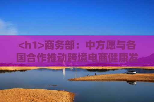 <h1>商务部：中方愿与各国合作推动跨境电商健康发展</h1>