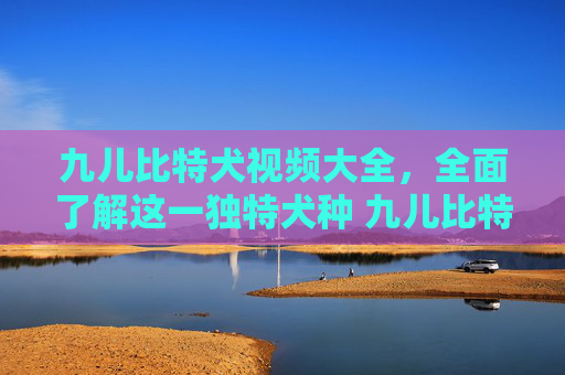 九儿比特犬视频大全，全面了解这一独特犬种 九儿比特犬视频大全