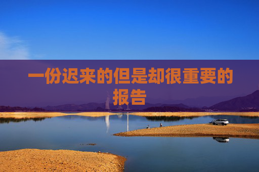 一份迟来的但是却很重要的报告