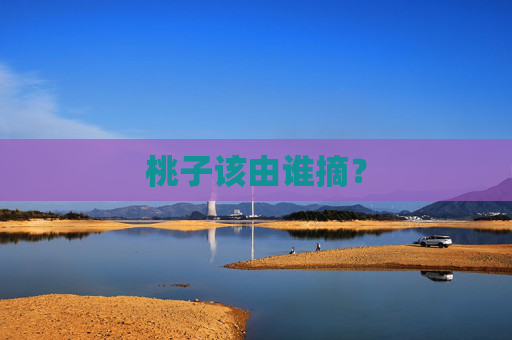 桃子该由谁摘？