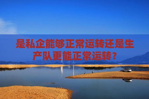 是私企能够正常运转还是生产队更能正常运转？