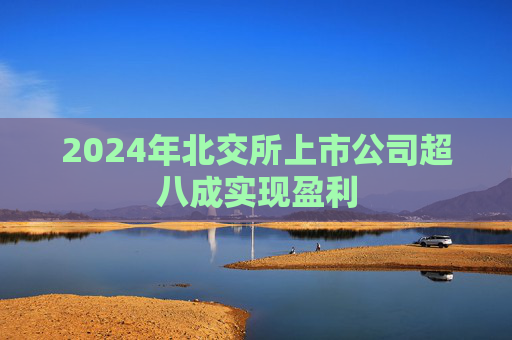 2024年北交所上市公司超八成实现盈利