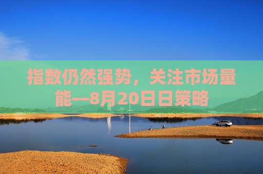 指数仍然强势，关注市场量能—8月20日日策略