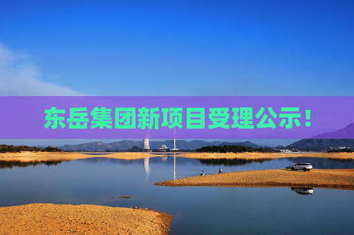 东岳集团新项目受理公示！