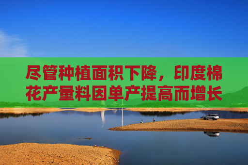 尽管种植面积下降，印度棉花产量料因单产提高而增长