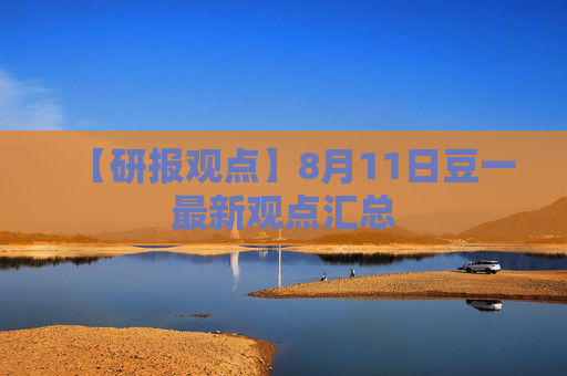 【研报观点】8月11日豆一最新观点汇总