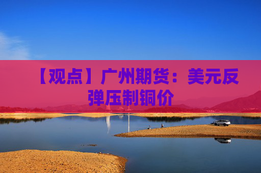 【观点】广州期货：美元反弹压制铜价