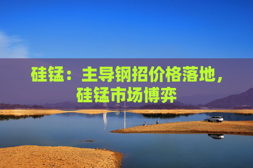 硅锰：主导钢招价格落地，硅锰市场博弈