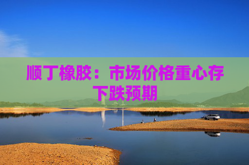 顺丁橡胶：市场价格重心存下跌预期