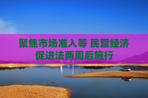 聚焦市场准入等 民营经济促进法两周后施行