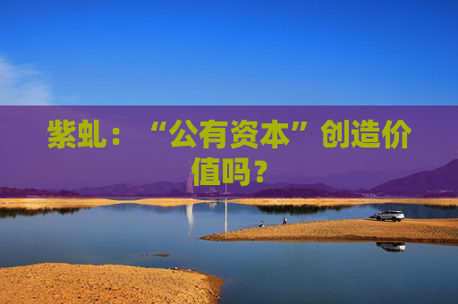 紫虬：“公有资本”创造价值吗？