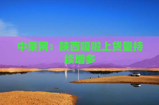 中果网：陕西嘎啦上货量持续增多
