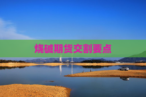 烧碱期货交割要点