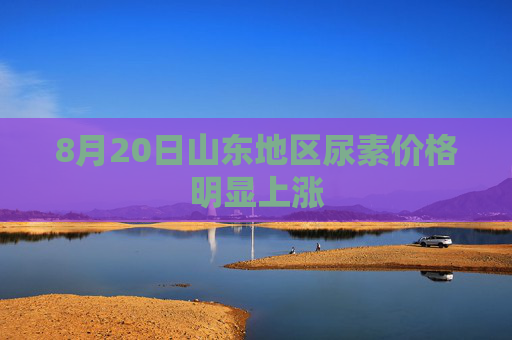 8月20日山东地区尿素价格明显上涨